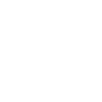 verita life brand