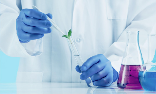 plant sciences in lab